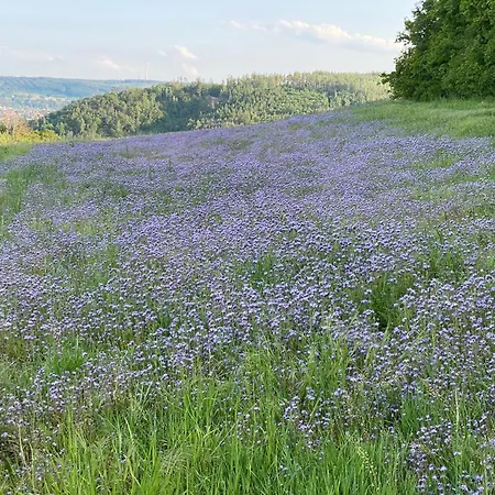 Hébergement de vacances Lochkov 53 *